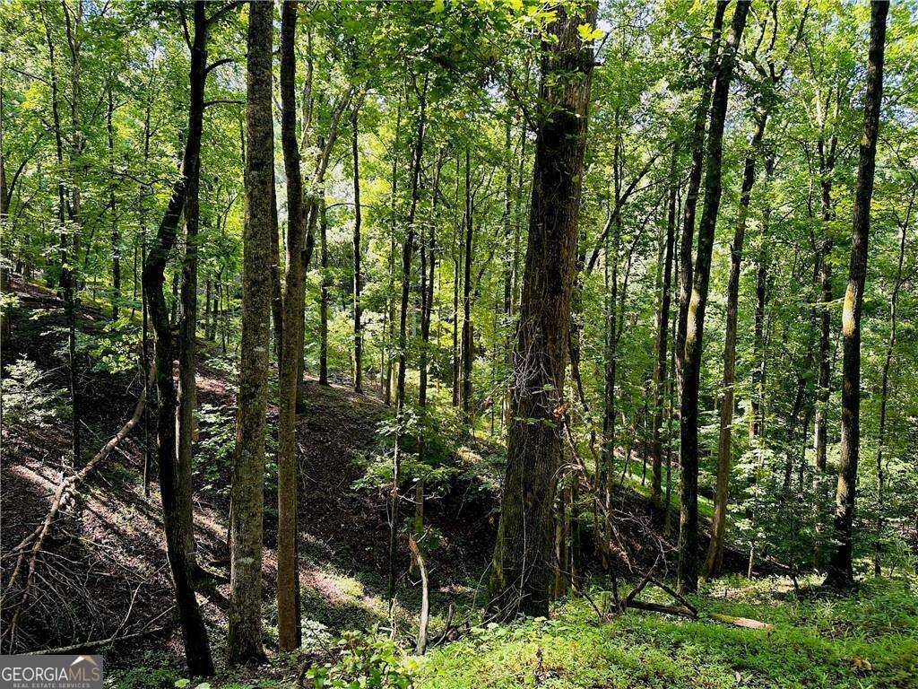 7.123 Acres Halls Mill Road Dahlonega GA 30533