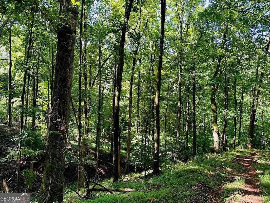 7.123 Acres Halls Mill Road Dahlonega GA 30533