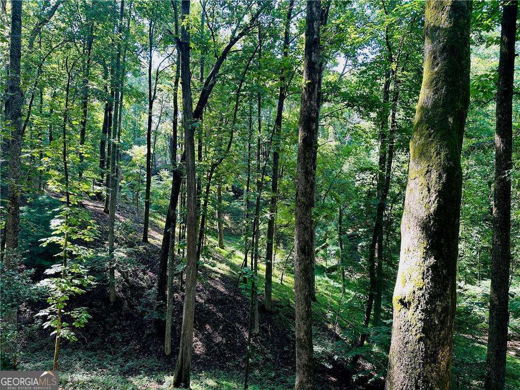 7.123 Acres Halls Mill Road Dahlonega GA 30533