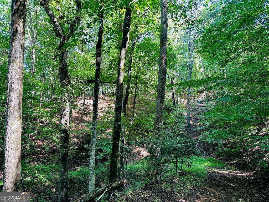 7.123 Acres Halls Mill Road Dahlonega GA 30533