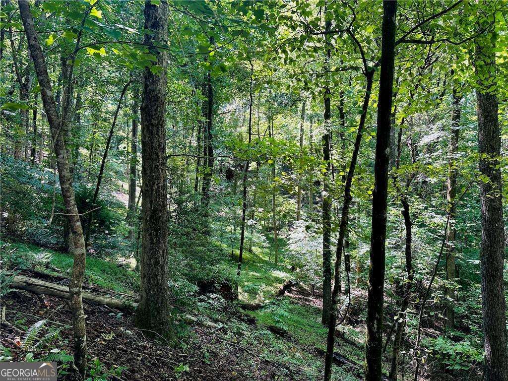 7.123 Acres Halls Mill Road Dahlonega GA 30533