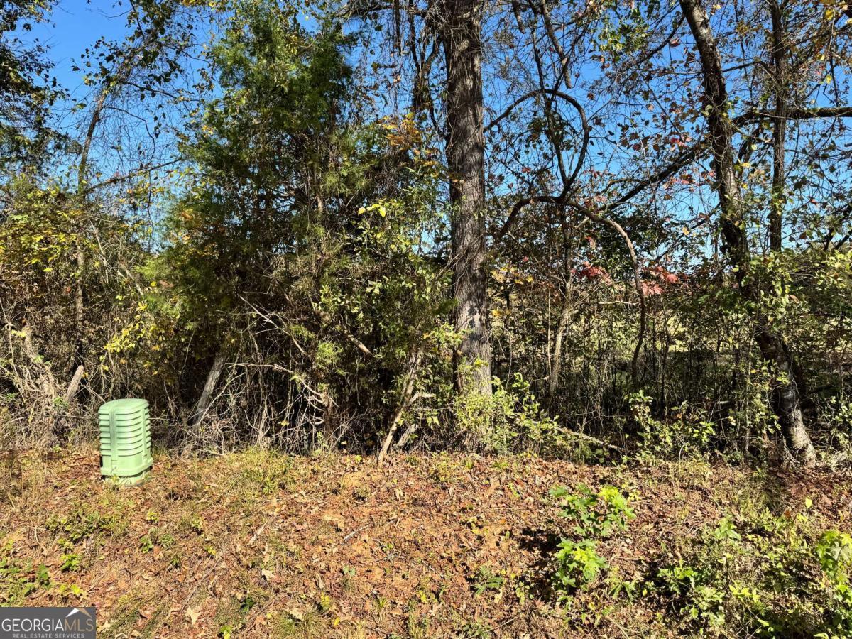 Tract 2 Taylor Road Lexington GA 30648