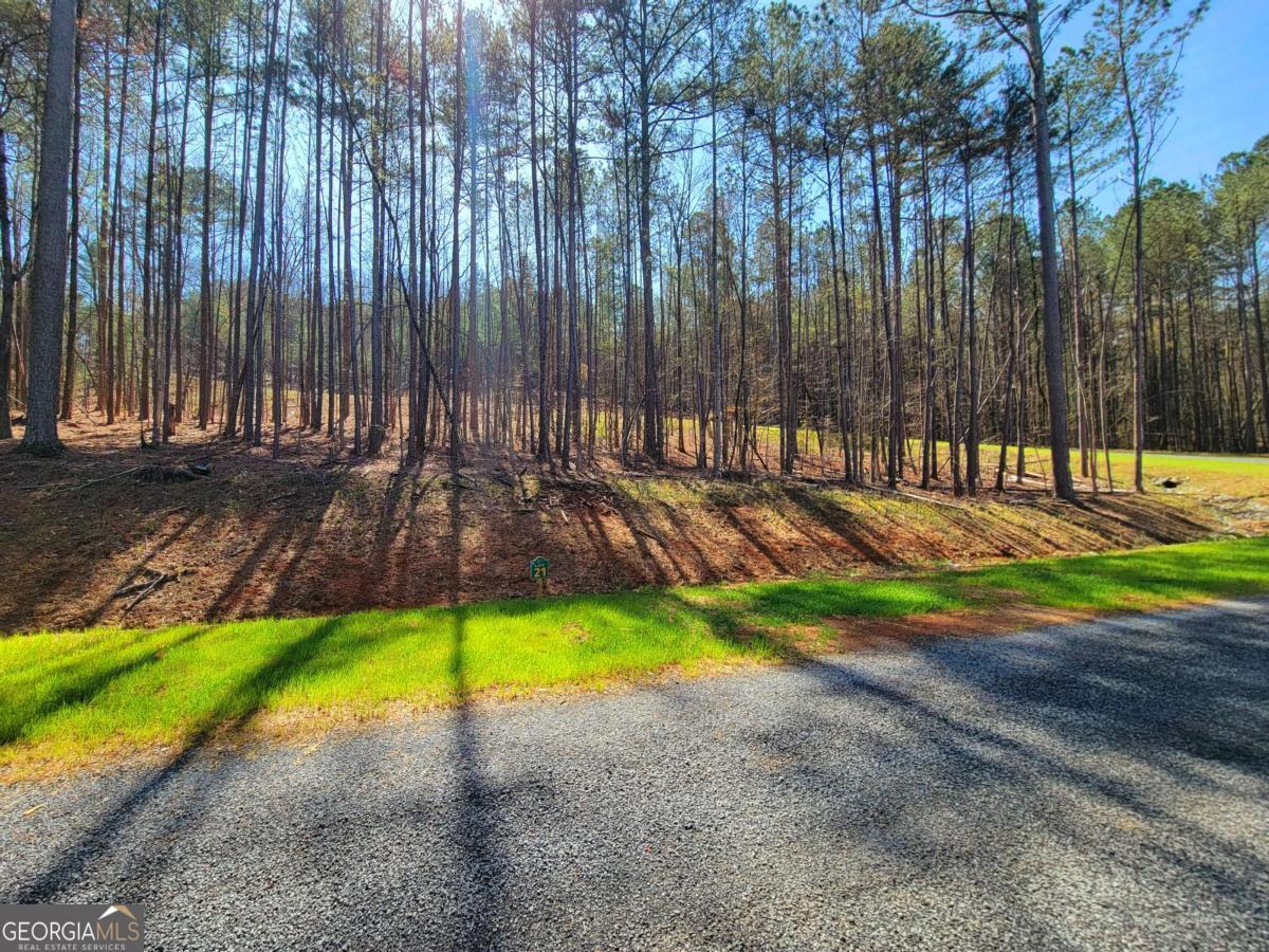 277 Mountaingate Way Ellijay GA 30536
