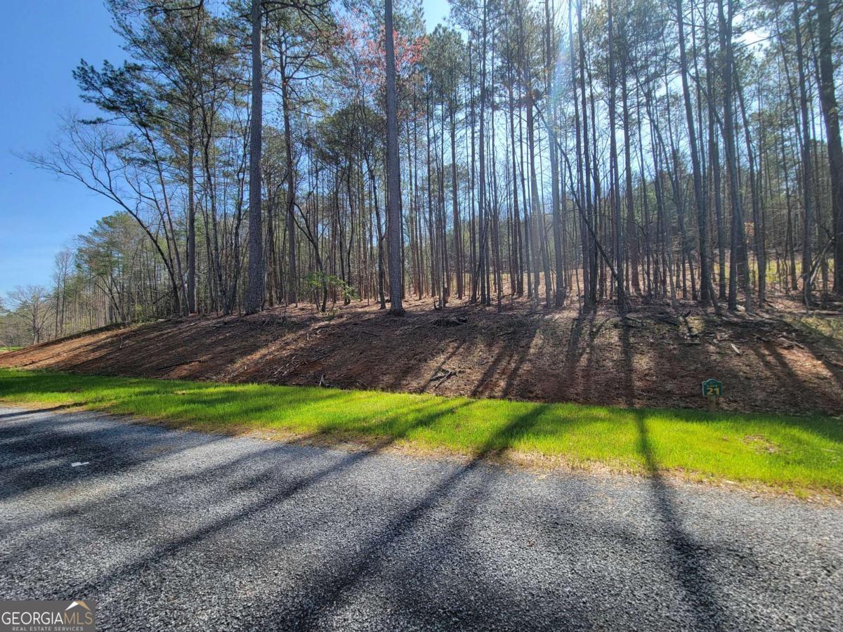 277 Mountaingate Way Ellijay GA 30536