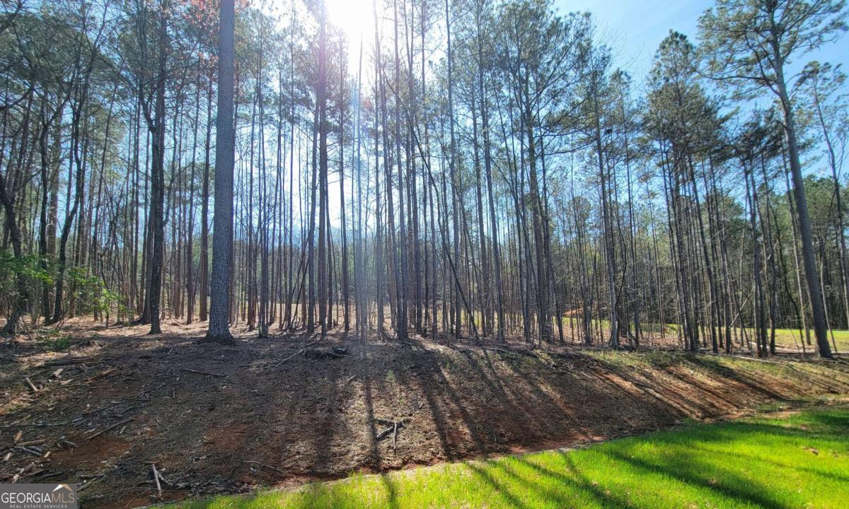 277 Mountaingate Way Ellijay GA 30536