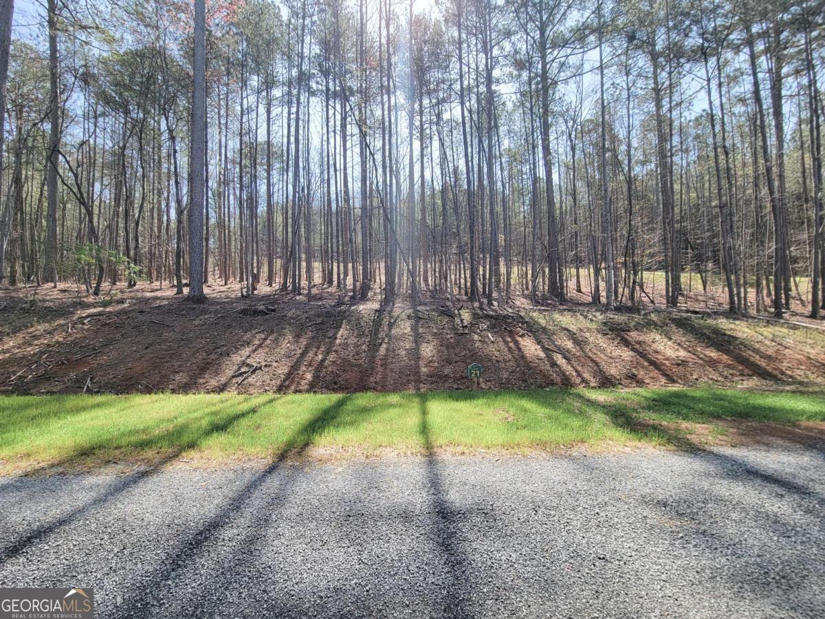 277 Mountaingate Way Ellijay GA 30536