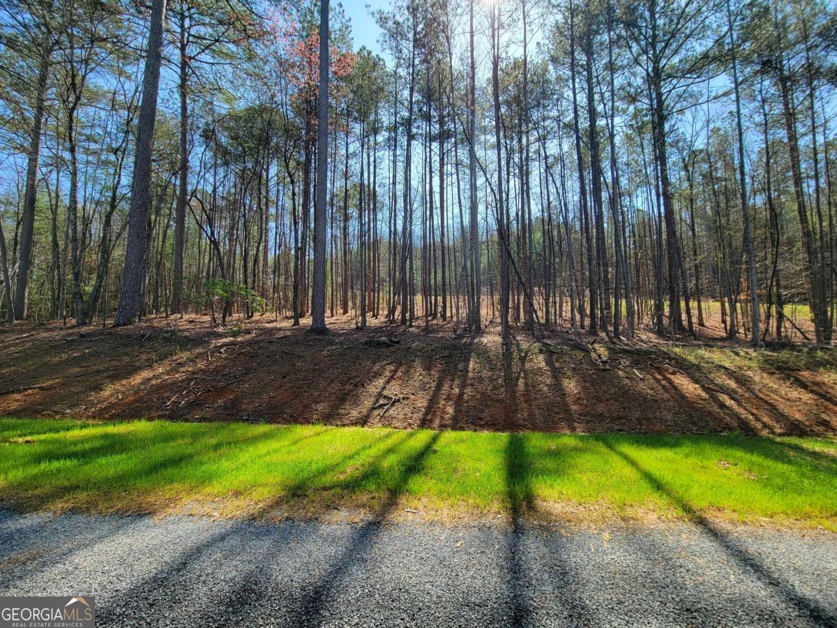 277 Mountaingate Way Ellijay GA 30536