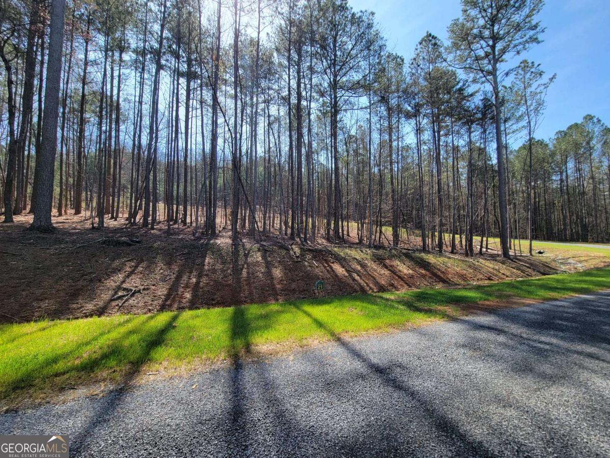 277 Mountaingate Way Ellijay GA 30536