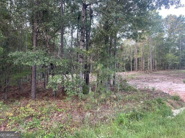 6423 Carlton Oaks Road Garfield GA 30425