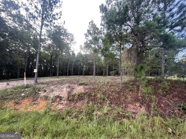 6423 Carlton Oaks Road Garfield GA 30425
