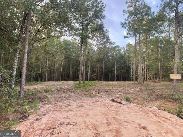 6423 Carlton Oaks Road Garfield GA 30425