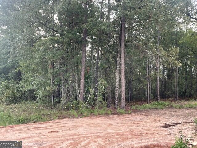 6423 Carlton Oaks Road Garfield GA 30425