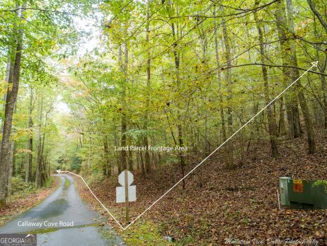 0 Callaway Cove Hiawassee GA 30546