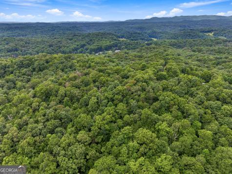 Lot 58 Red Bud Lane Ellijay GA 30540