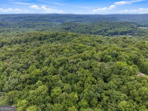 Lot 58 Red Bud Lane Ellijay GA 30540