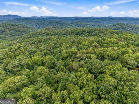 Lot 58 Red Bud Lane Ellijay GA 30540