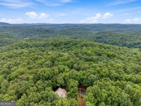 Lot 58 Red Bud Lane Ellijay GA 30540