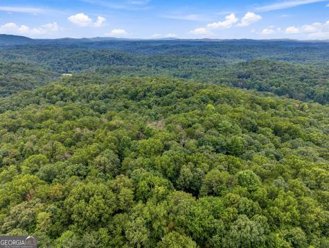 Lot 58 Red Bud Lane Ellijay GA 30540