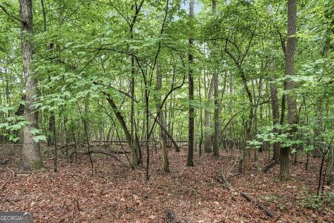 Lot 58 Red Bud Lane Ellijay GA 30540