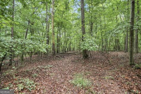 Lot 58 Red Bud Lane Ellijay GA 30540
