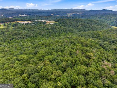 Lot 58 Red Bud Lane Ellijay GA 30540