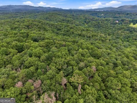 Lot 58 Red Bud Lane Ellijay GA 30540