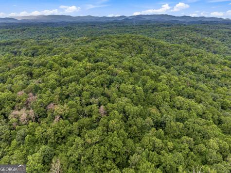 Lot 58 Red Bud Lane Ellijay GA 30540