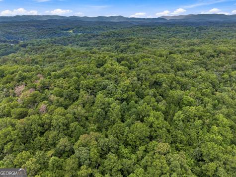 Lot 58 Red Bud Lane Ellijay GA 30540