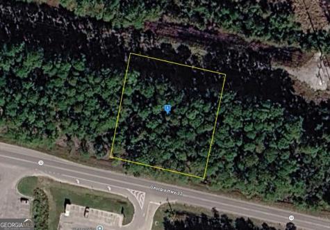 5201 Highway 32 Hortense GA 31543
