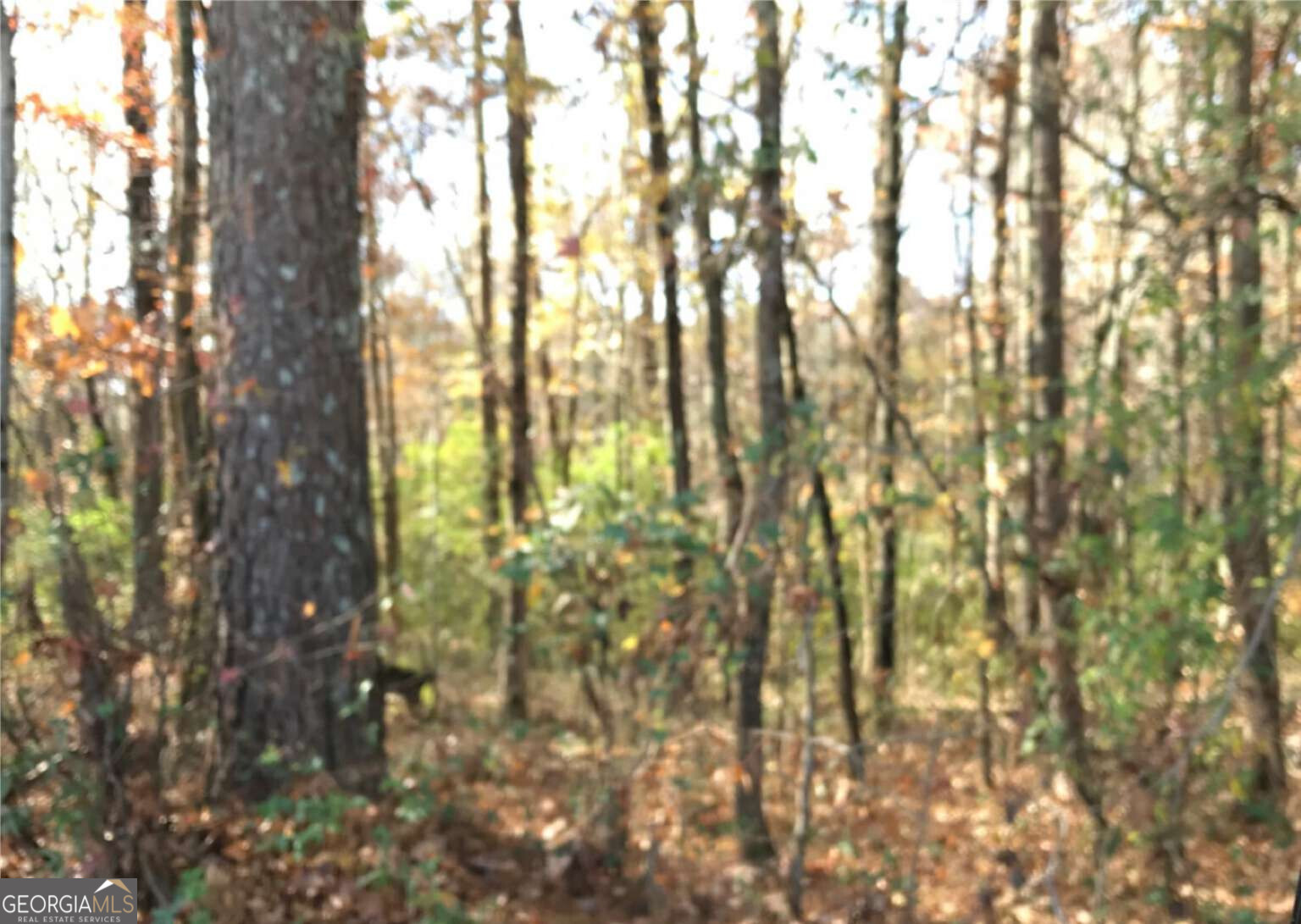 0 E Midland Avenue Winder GA 30680