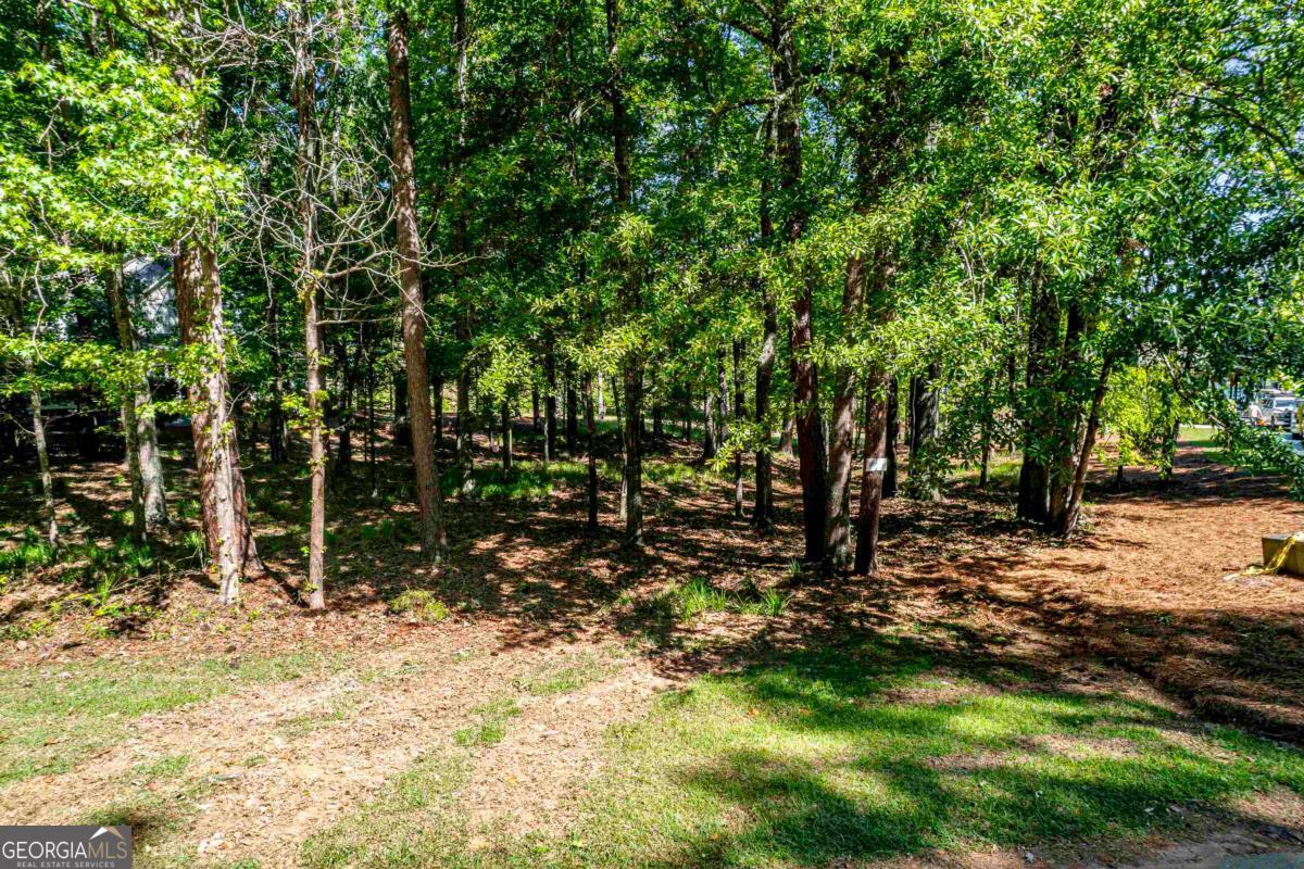 113 Blue Heron Drive Eatonton GA 31024