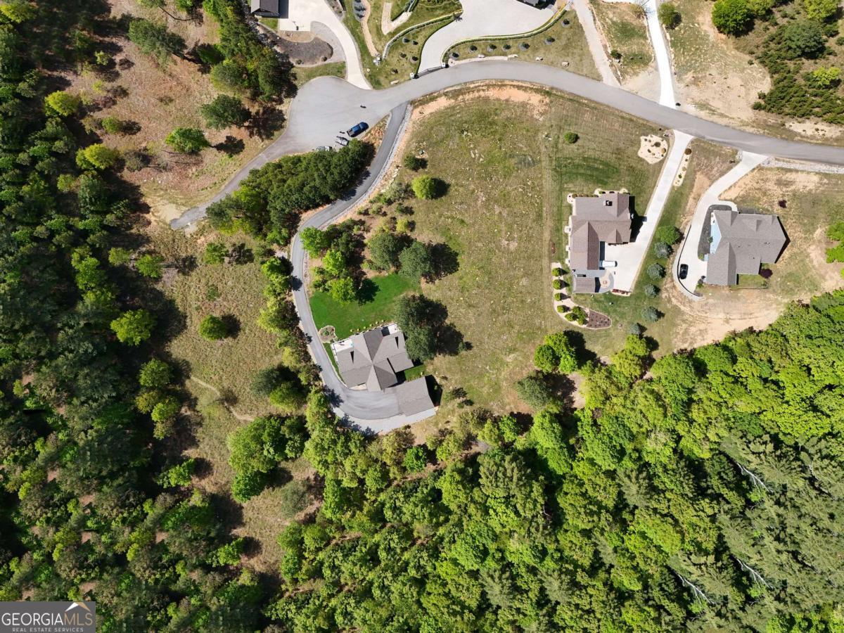 Lot 101 Big Knoll Drive Blairsville GA 30512