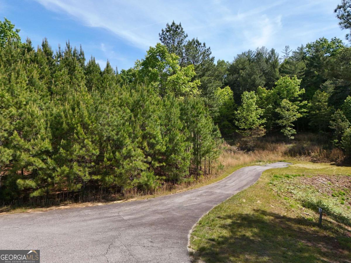 Lot 101 Big Knoll Drive Blairsville GA 30512