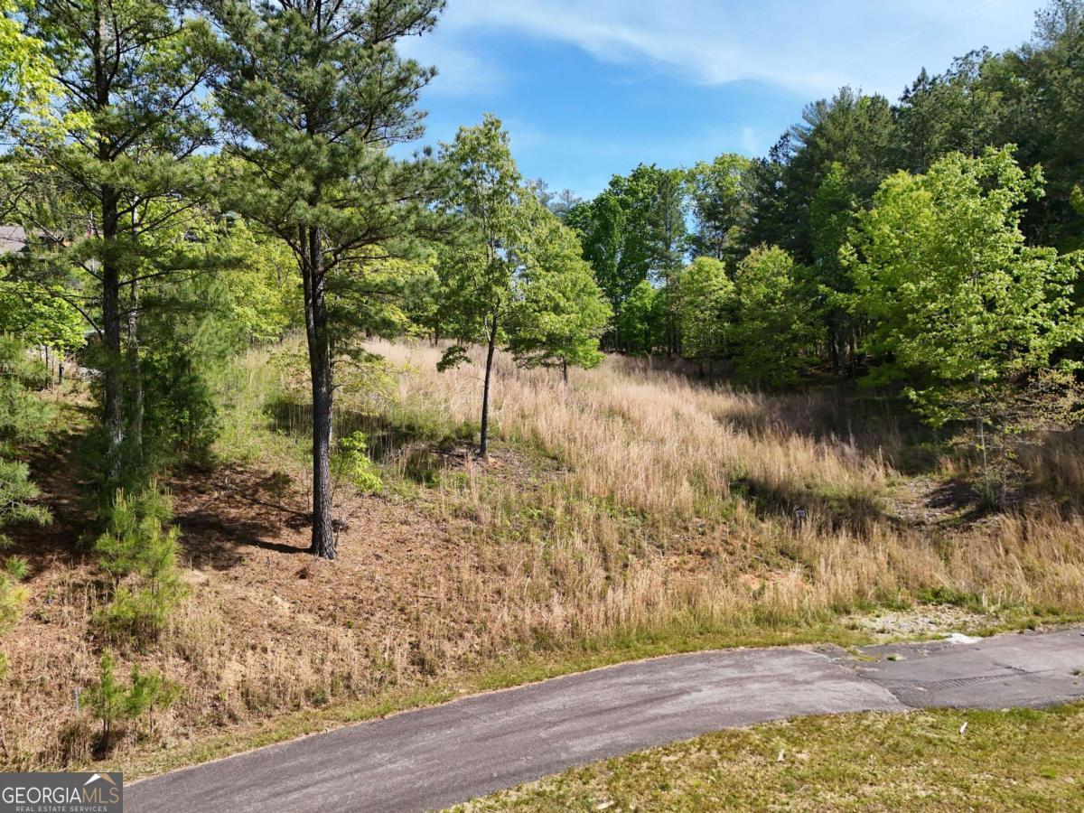 Lot 101 Big Knoll Drive Blairsville GA 30512