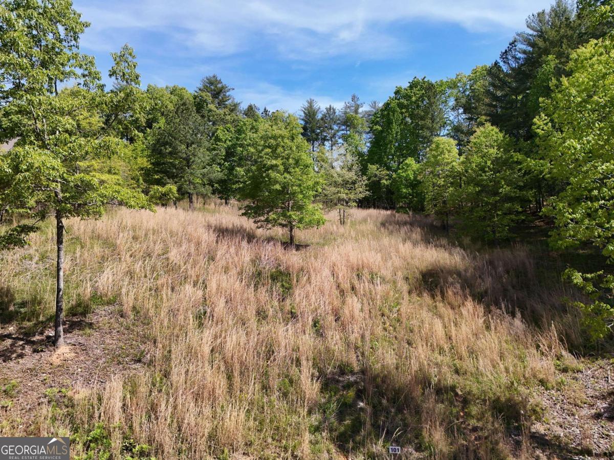 Lot 101 Big Knoll Drive Blairsville GA 30512