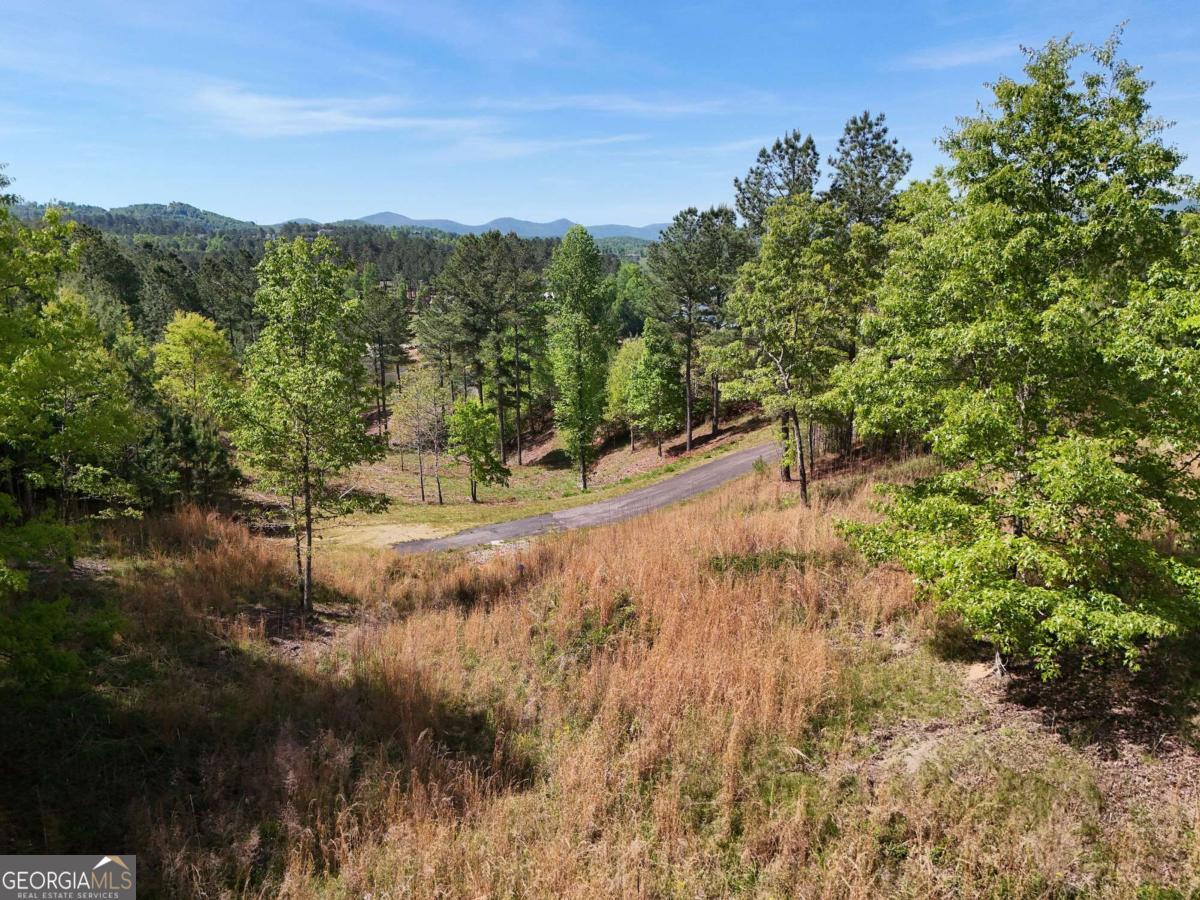 Lot 101 Big Knoll Drive Blairsville GA 30512