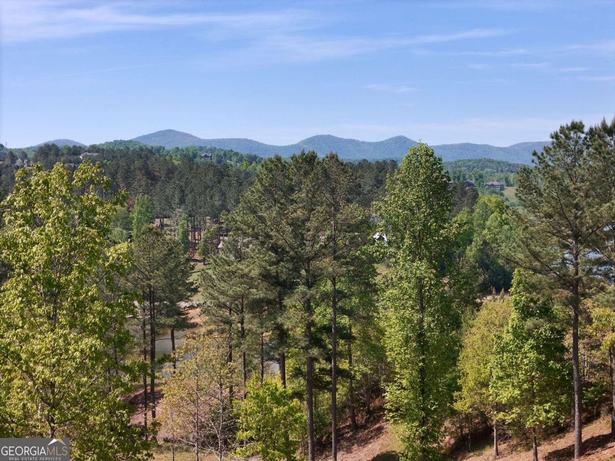 Lot 101 Big Knoll Drive Blairsville GA 30512