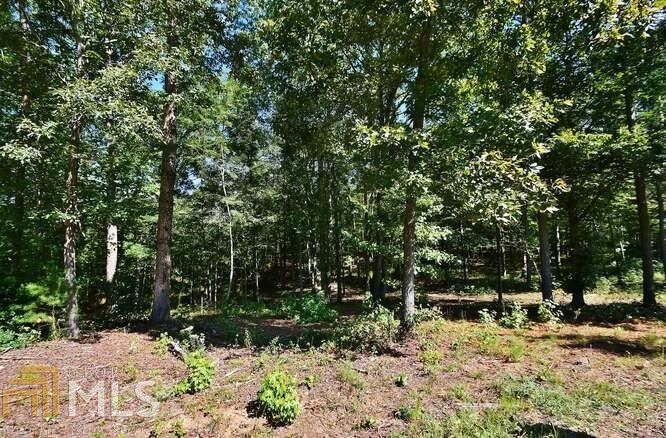 4562D Fawn Path Gainesville GA 30506