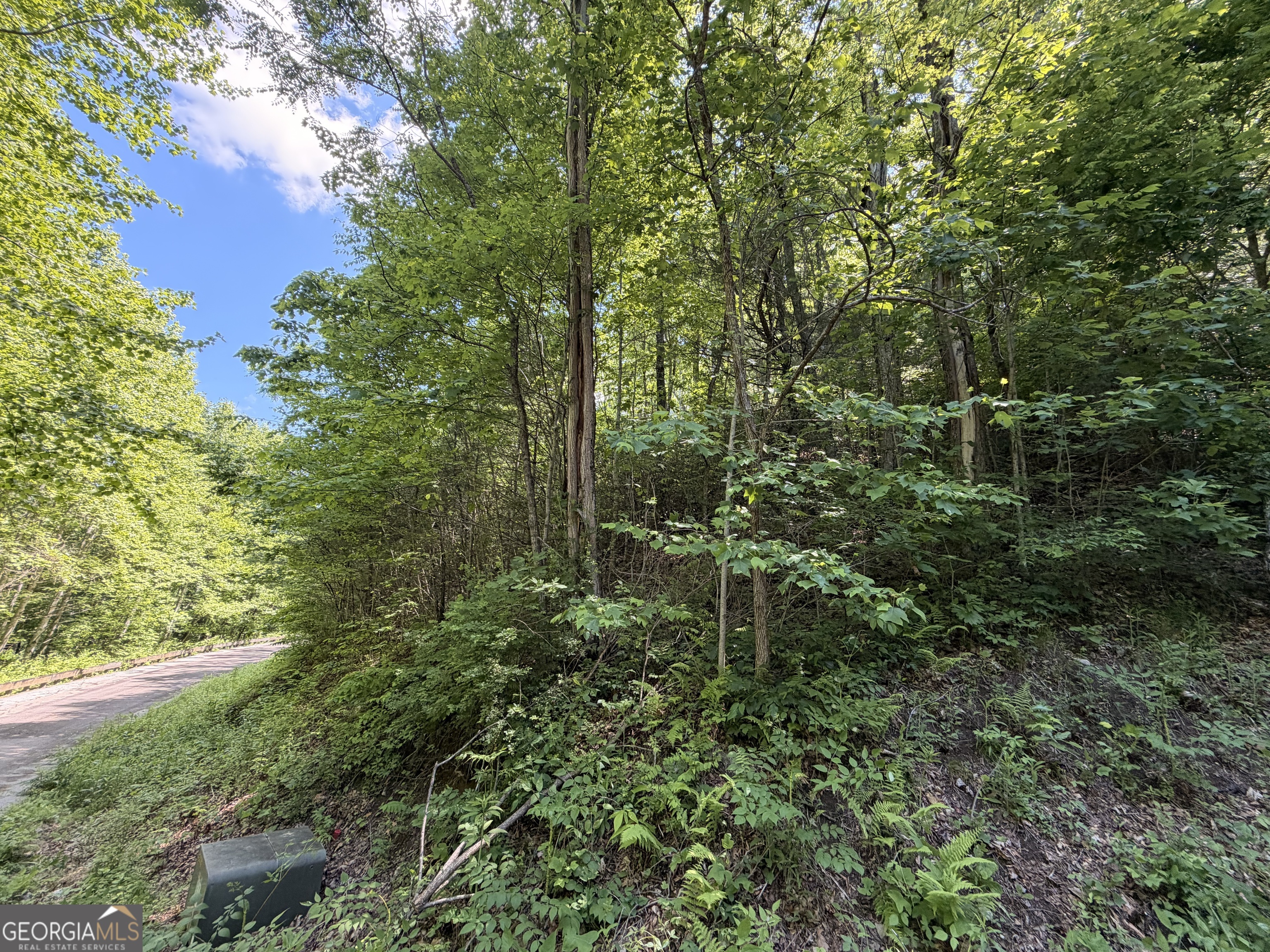 C Shake Hollow Rabun Gap GA 30568