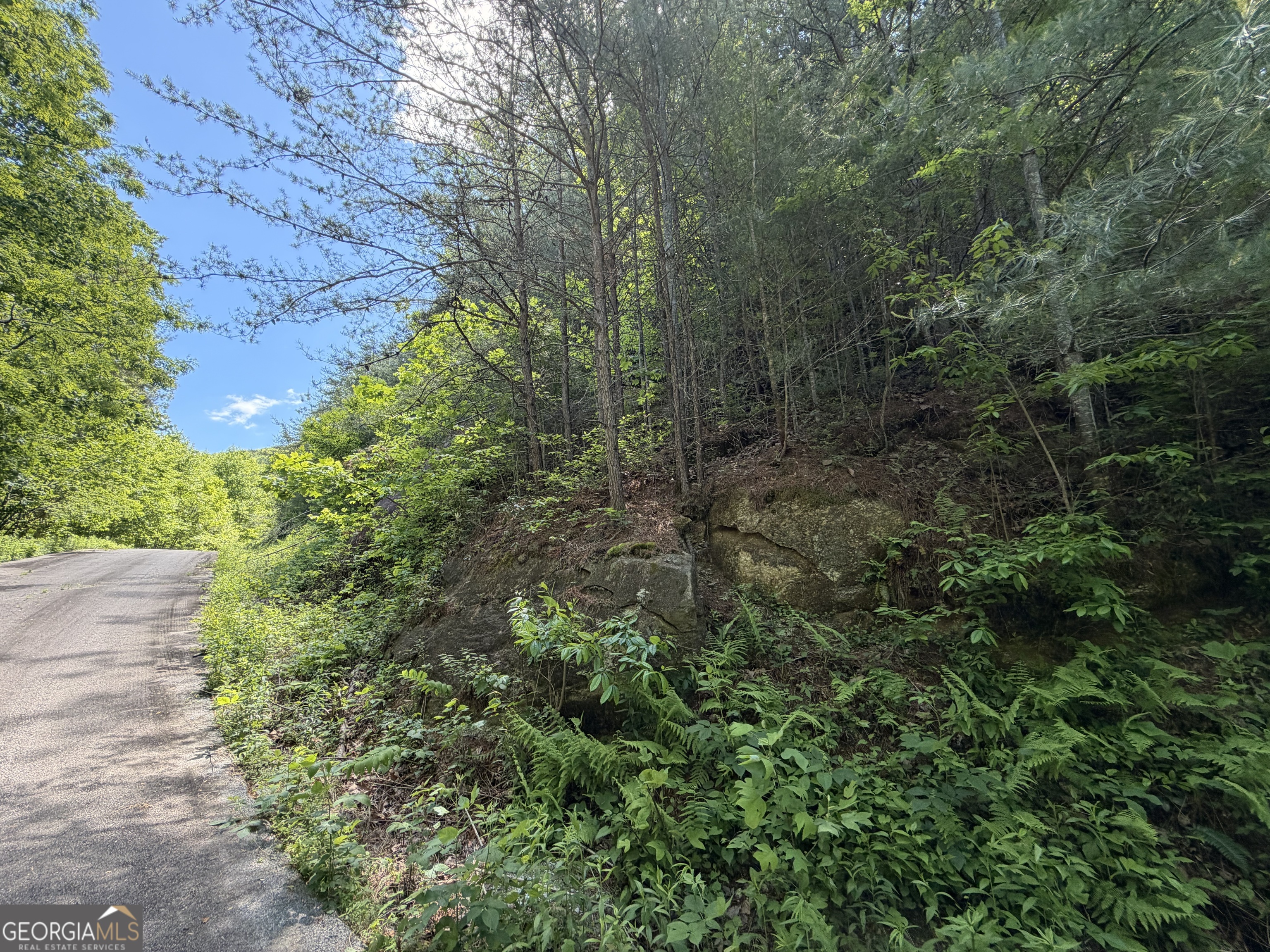 C Shake Hollow Rabun Gap GA 30568
