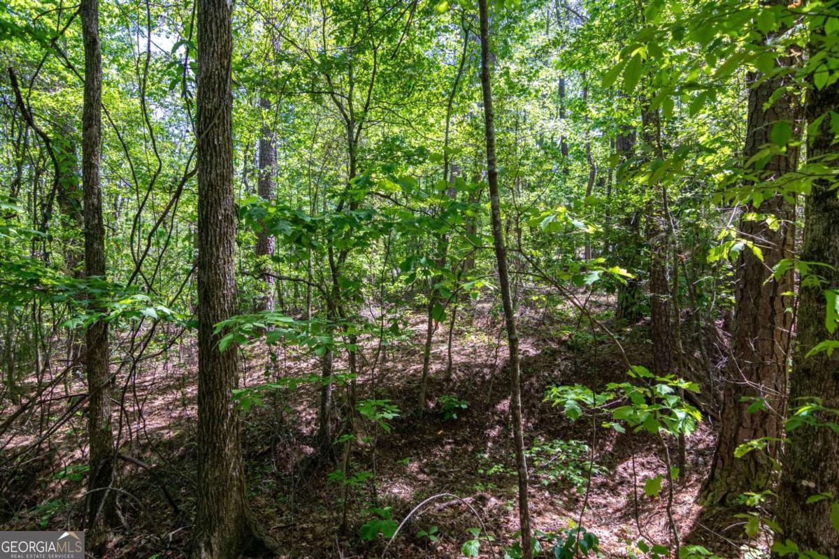45 Cornish Trace Drive Covington GA 30014