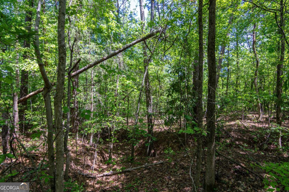 45 Cornish Trace Drive Covington GA 30014