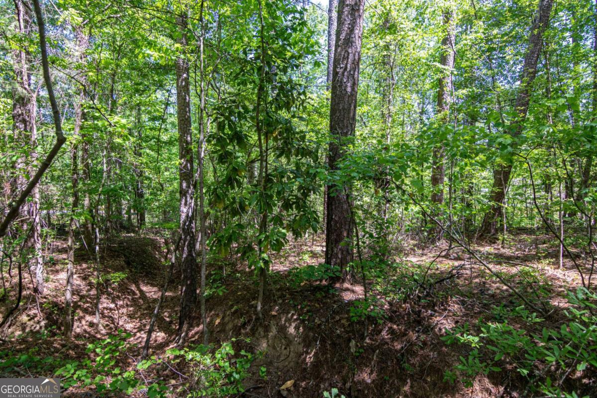 45 Cornish Trace Drive Covington GA 30014