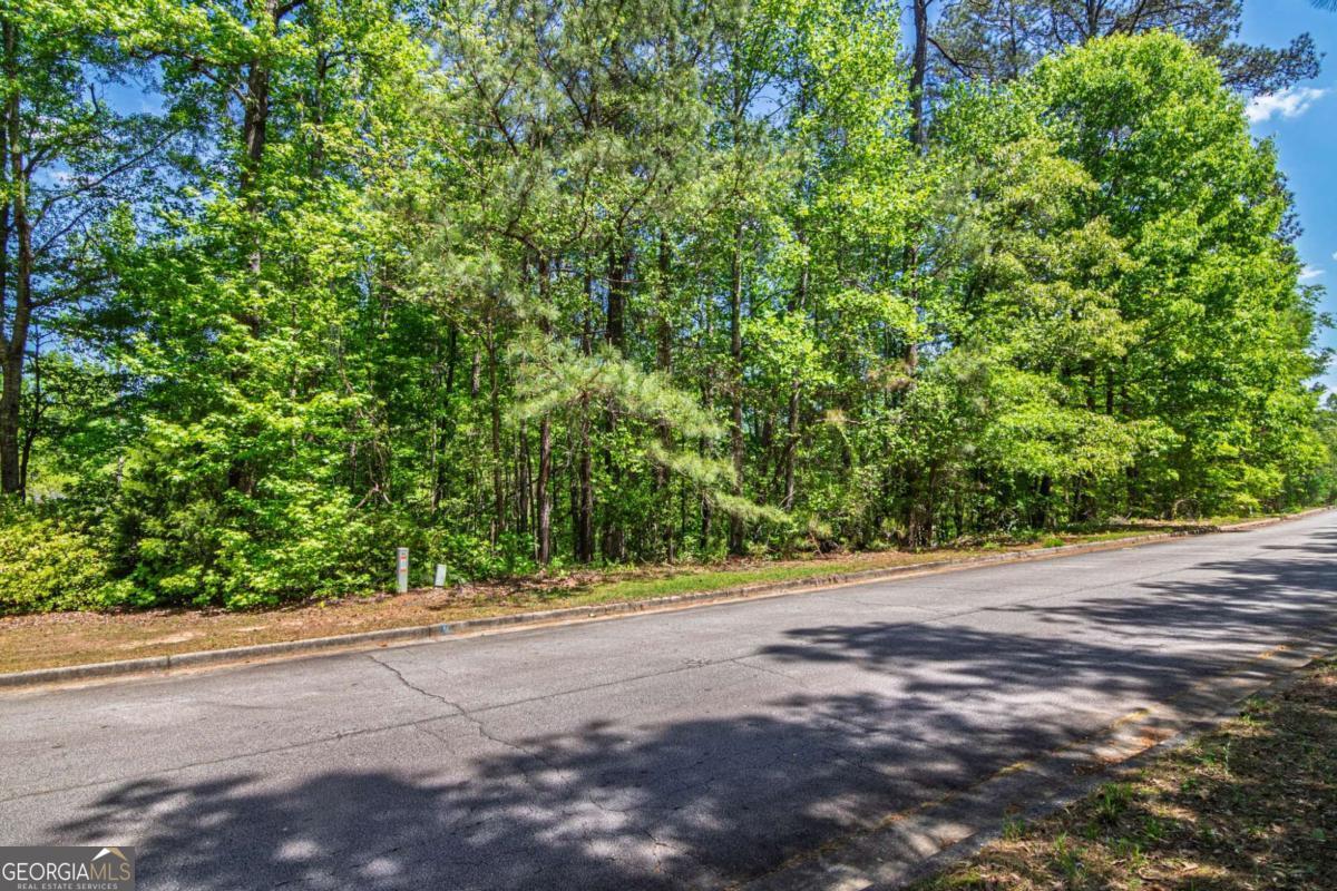 45 Cornish Trace Drive Covington GA 30014