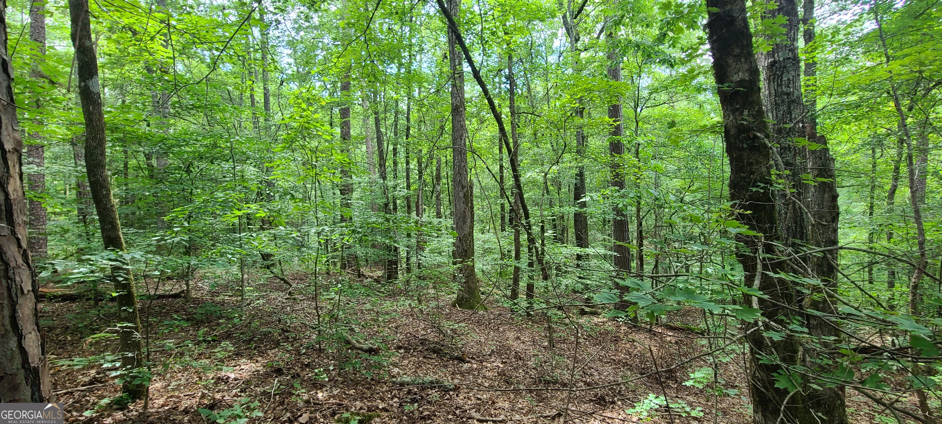 261 Retreat Trail Lagrange GA 30240