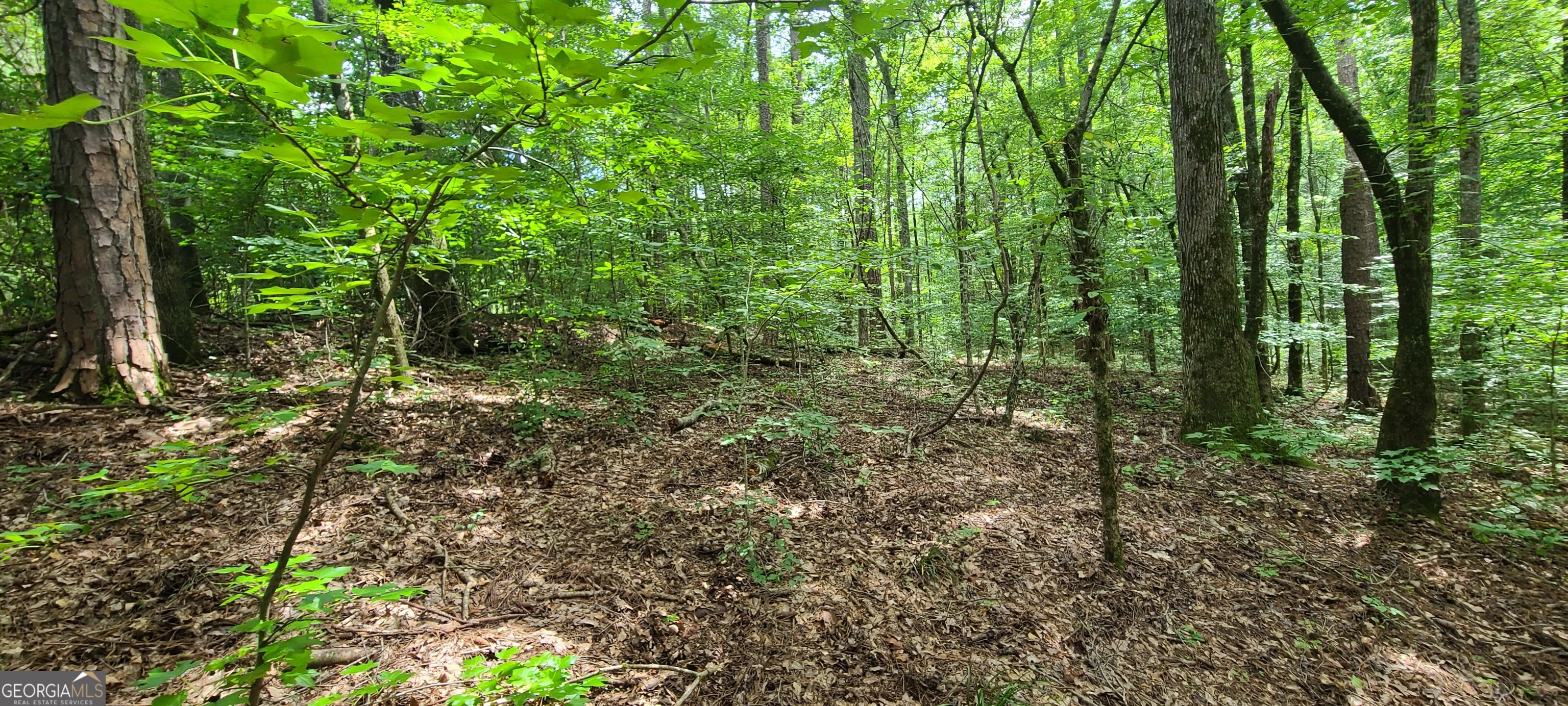 261 Retreat Trail Lagrange GA 30240