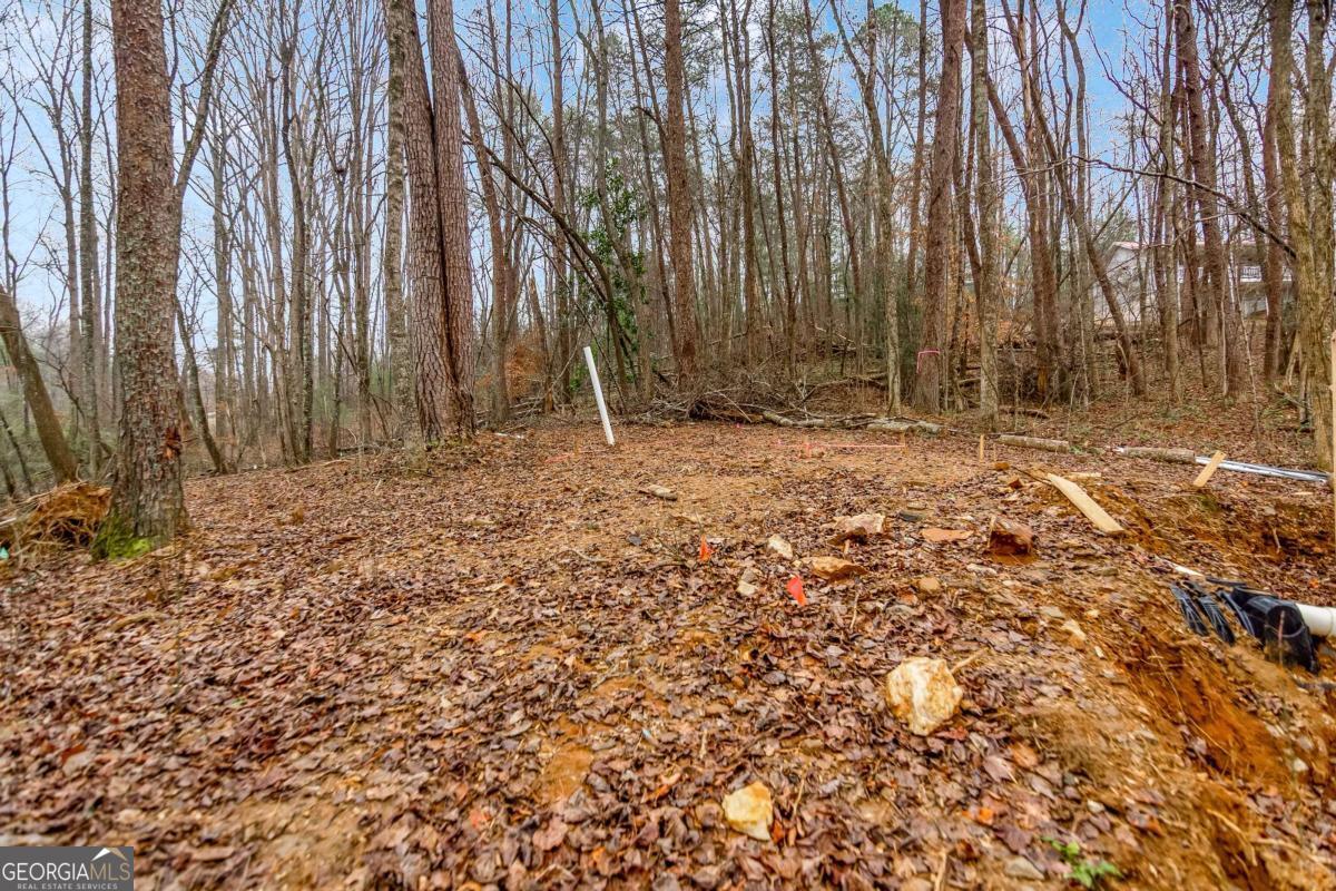 3 Hideaway Morganton GA 30560
