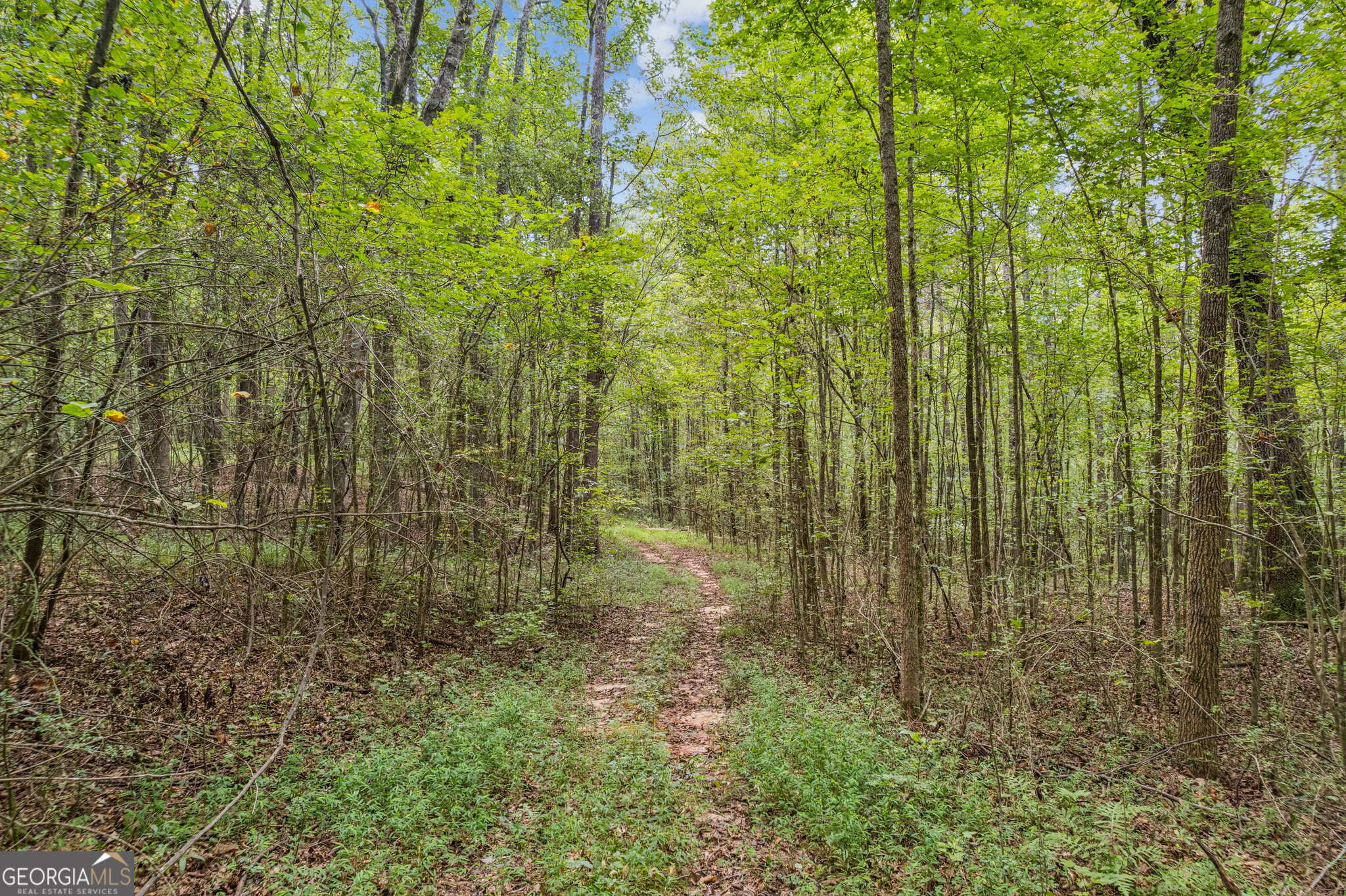 0 W Highway 34 Newnan GA 30263