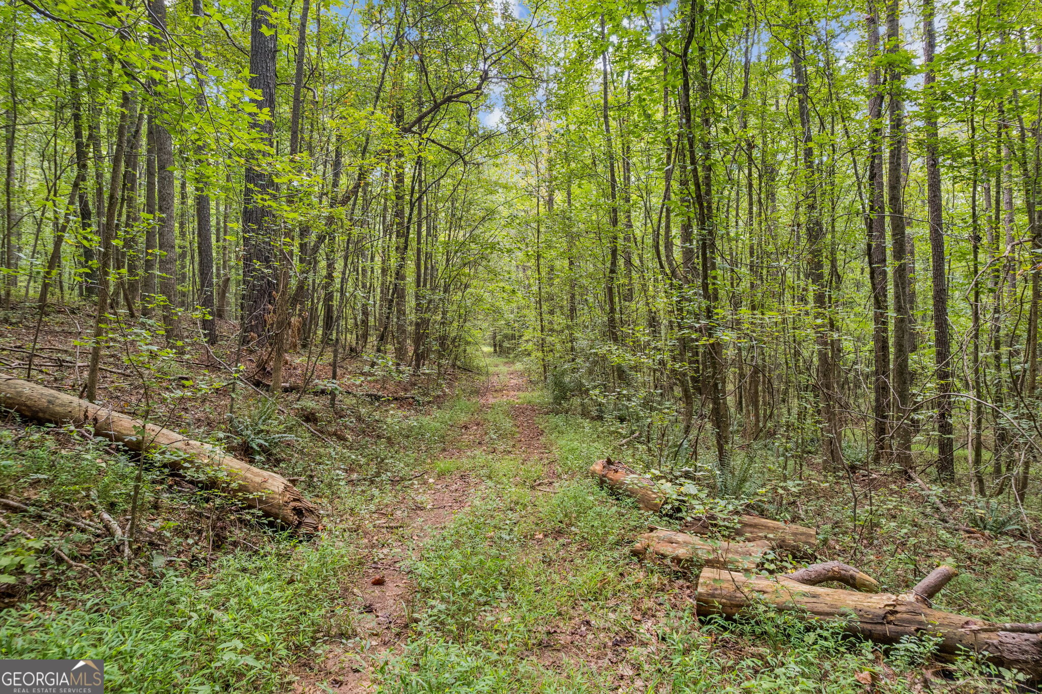 0 W Highway 34 Newnan GA 30263