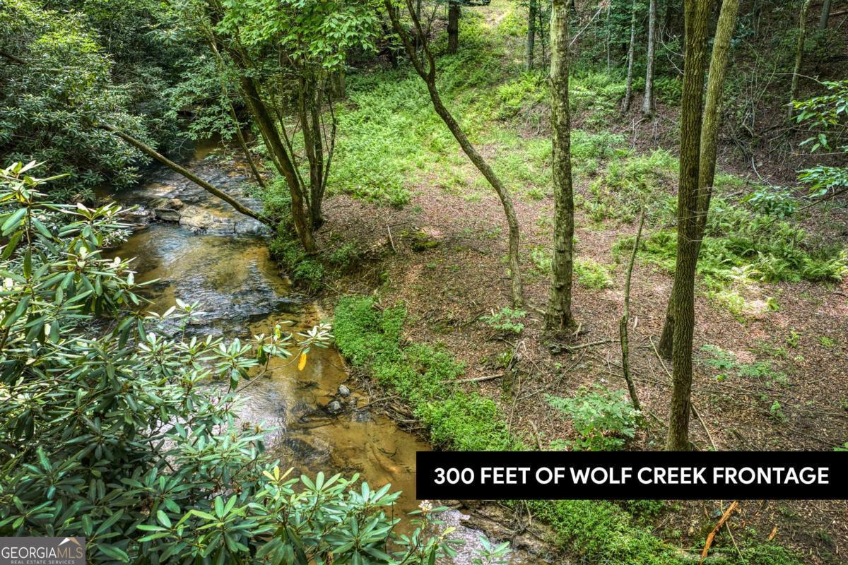 00 Mill Race Drive Mineral Bluff GA 30559